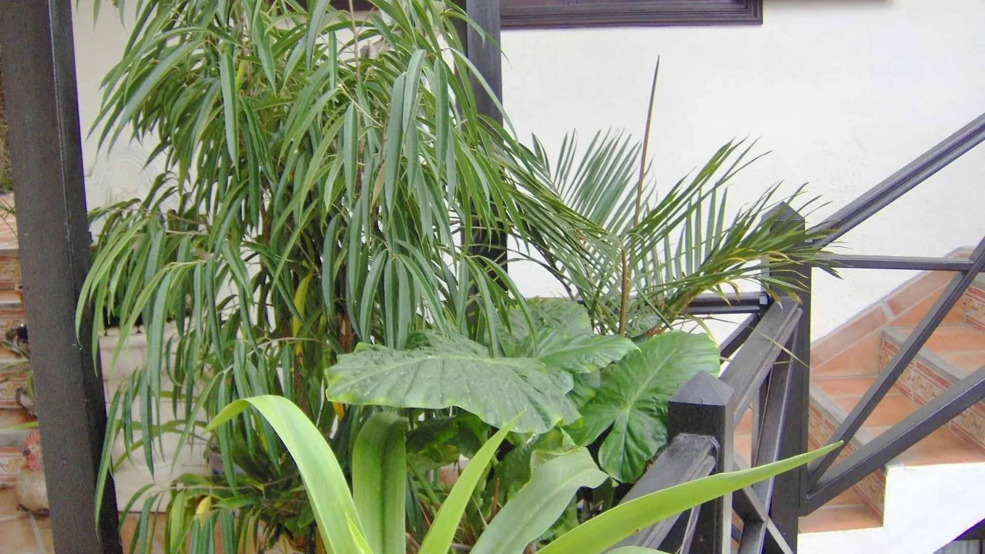 アパート Ferienwohnung Mit Kleiner Innenhof-Terrasse Im Mediterranen Stil イコー・デ・ロス・ビノス